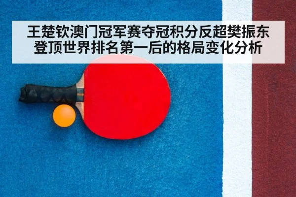 ping pong racket
